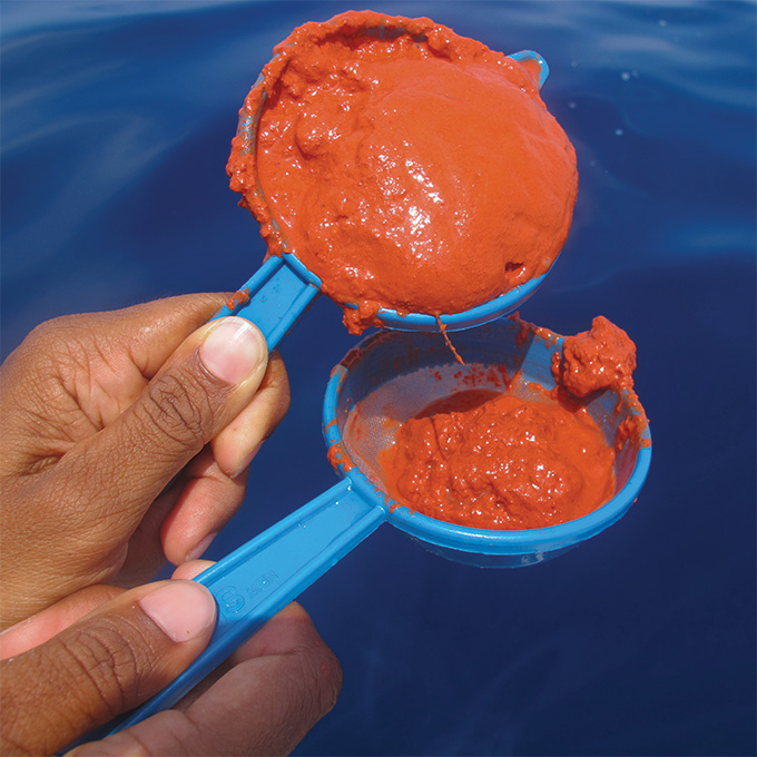 Two hands are holding two blue glasses that look similar to measuring cups. Each cup contains an orange-red substance that appears to have the consistency of mud.